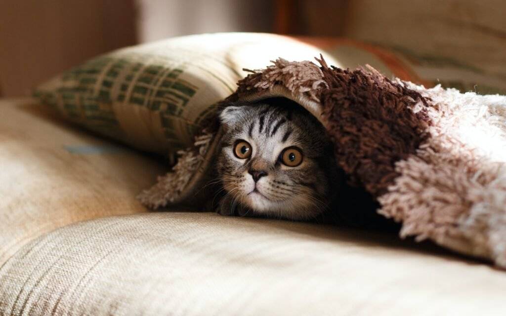 Uncovering Hidden Opportunities with Long Tail Keywords
