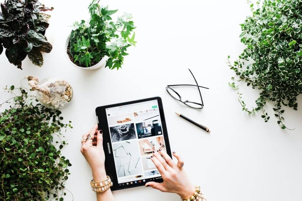 Leveraging Social Media for Link Building and ROI