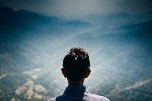 Organic Search Ranking: A Definitive Guide to Success