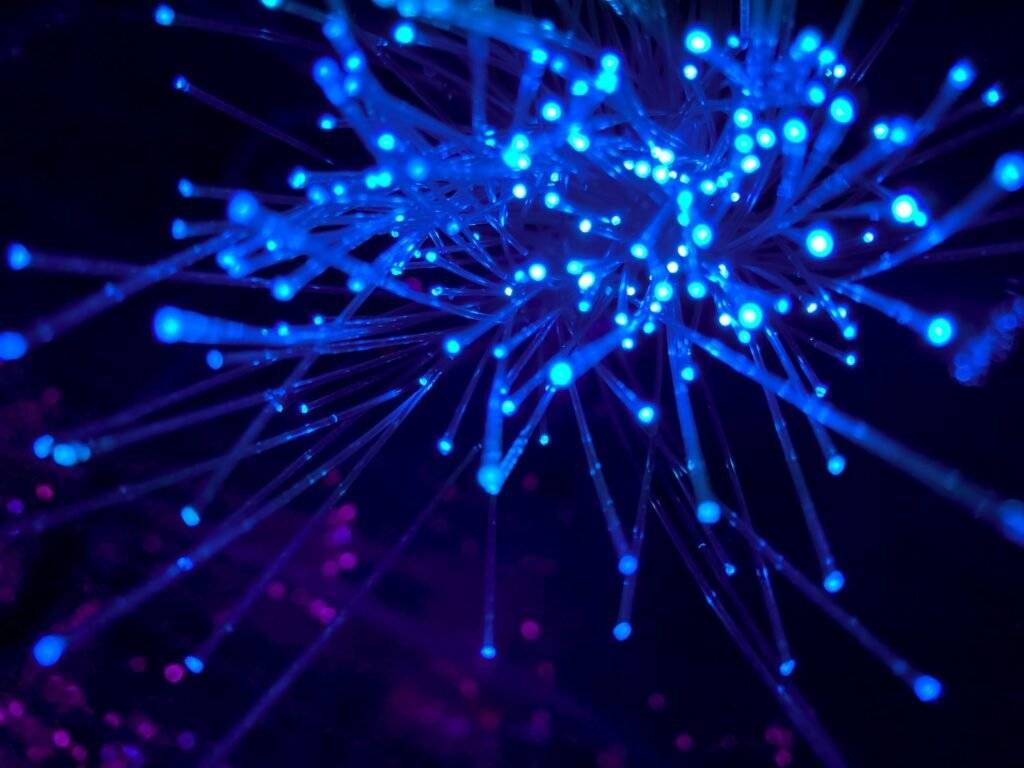 Understanding the Connection Between Page Load Speed and Rankings