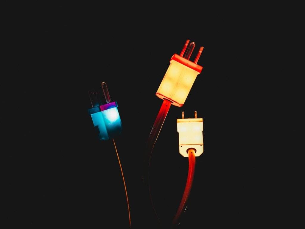 The Role of Social Signals in Algorithm Updates